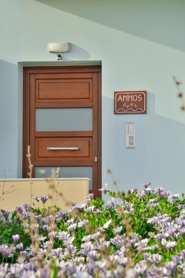 Ammos Apartment - Brand New, Stylish, By The Beach 基萨莫斯 外观 照片